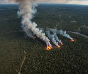 Горит тайга в Якутии, саванна в Америке, леса на Амазонке: трудности и перспективы тушения