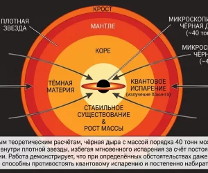 Исследователи обнаружили, как миниатюрная чёрная дыра массой 40 тонн способна выживать в недрах звезды